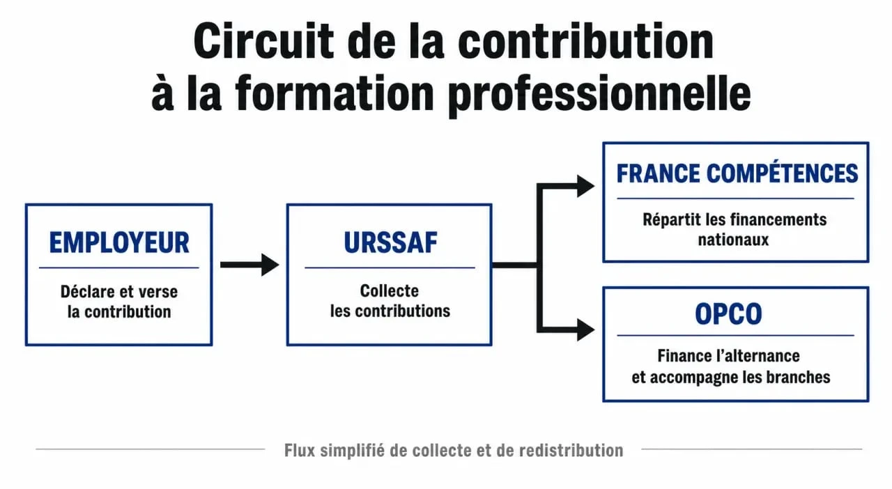 Schéma du circuit de la contribution à la formation professionnelle et redistribution des fonds